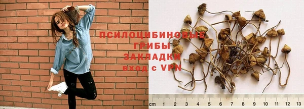 синтетический гашиш Армянск