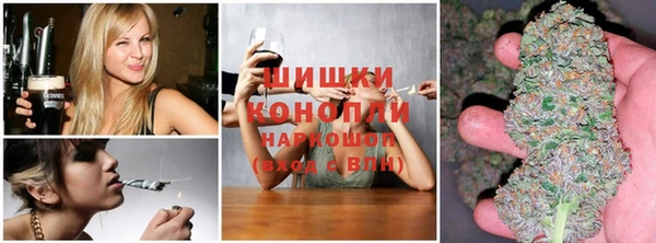 твердый Аркадак