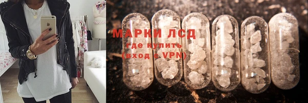 твердый Аркадак